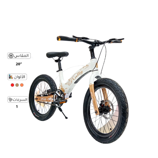 صورة دراجة فرحة للولاد